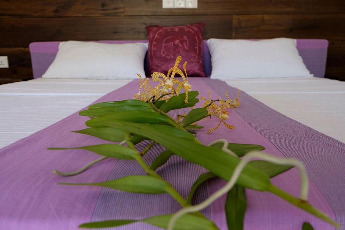 Sanda Eliya Resort Bentota Dış mekan fotoğraf