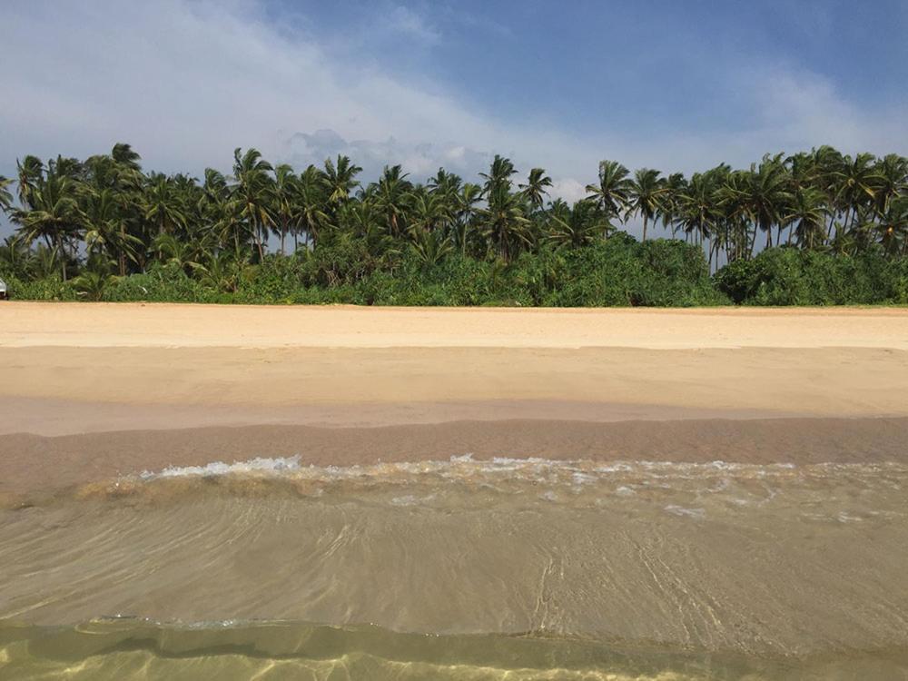 Sanda Eliya Resort Bentota Dış mekan fotoğraf