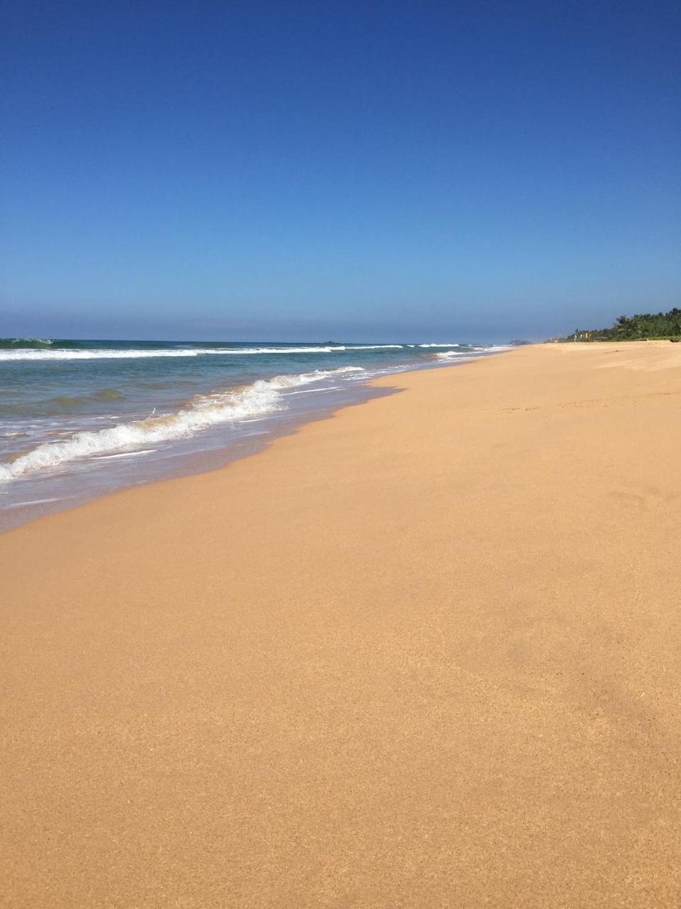 Sanda Eliya Resort Bentota Dış mekan fotoğraf