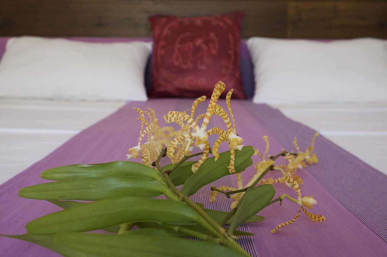 Sanda Eliya Resort Bentota Dış mekan fotoğraf